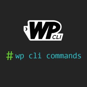 Most Useful Wordpress WP-CLI Commands
